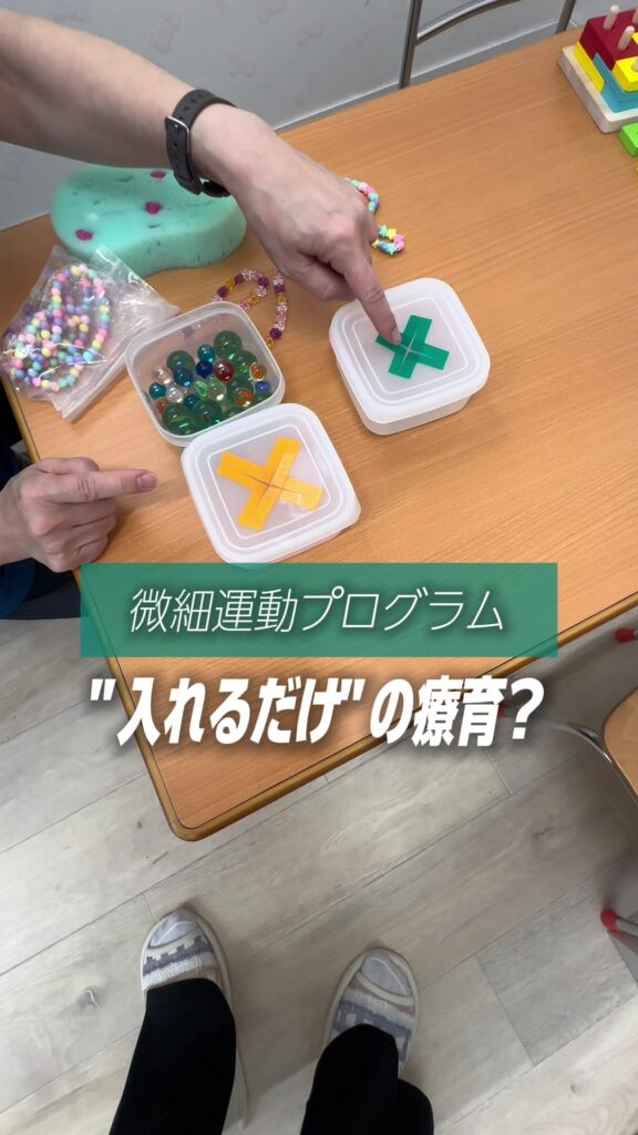 【ただの“遊び”じゃない。これが私たちの微細運動プログラム】 つまむ 押す 通す 入れる 一見シ…